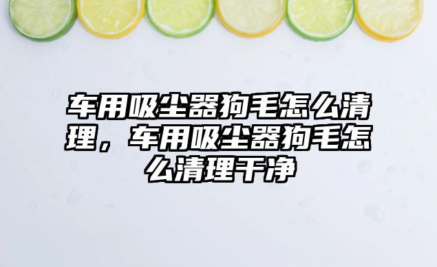車(chē)用吸塵器狗毛怎么清理，車(chē)用吸塵器狗毛怎么清理干凈